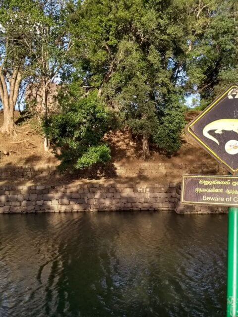 Vorsicht Krokodile Sigiriya
