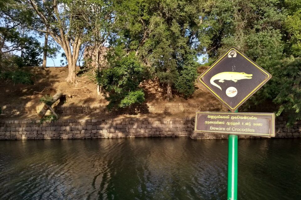 Vorsicht Krokodile, Sigiriya
