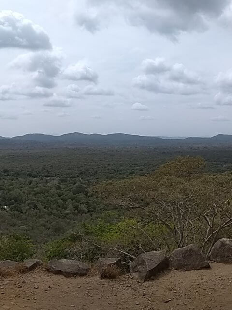 Sicht mittlere Ebene Pidurangala bei Sigiriya