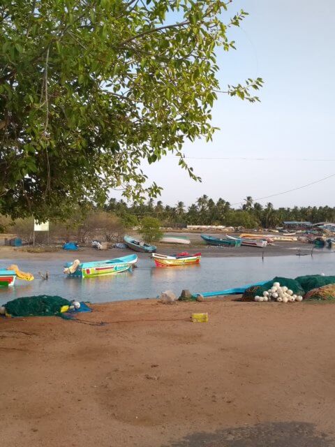 Fischerhafen bei Uppuveli