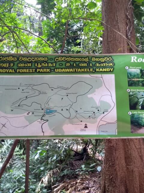 Royal Forest Park Kandy